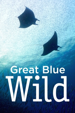 Great Blue Wild Great Blue Wild