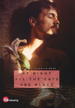 At Night All the Cats Are Black At Night All the Cats Are Black