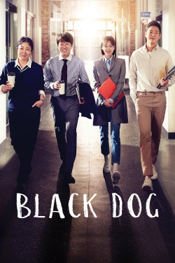 Black Dog Black Dog