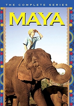 Maya Maya