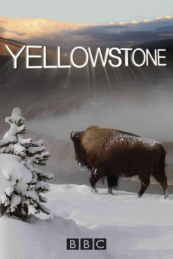 Yellowstone Yellowstone