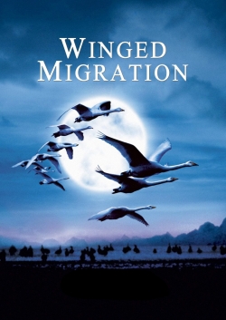 Winged Migration Winged Migration