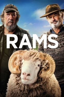 Rams Rams