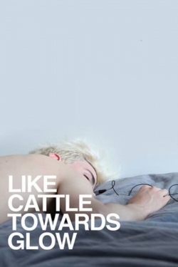 Like Cattle Towards Glow Like Cattle Towards Glow