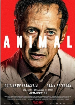 Animal Animal