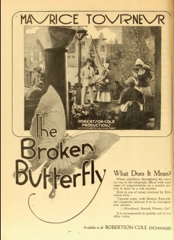 The Broken Butterfly The Broken Butterfly