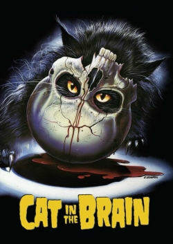 A Cat in the Brain A Cat in the Brain