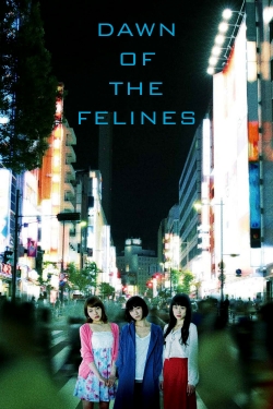 Dawn of the Felines Dawn of the Felines