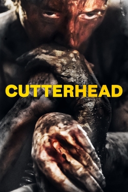 Cutterhead Cutterhead