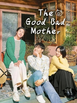 The Good Bad Mother The Good Bad Mother