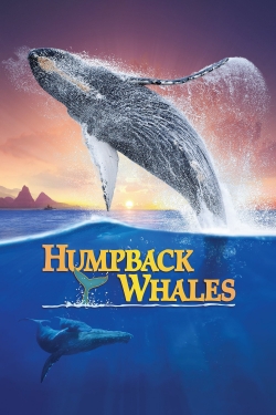 Humpback Whales Humpback Whales