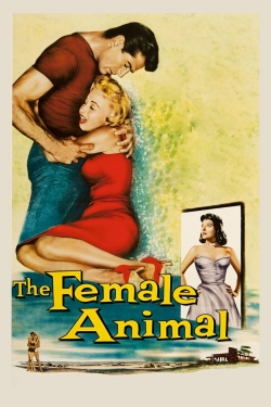 The Female Animal The Female Animal