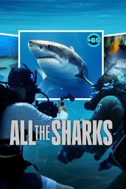 All the Sharks All the Sharks