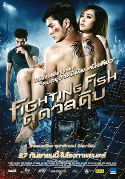 Fighting Fish Fighting Fish