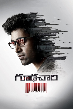 Goodachari Goodachari