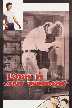 Look in Any Window Look in Any Window