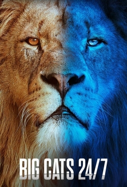 Big Cats 24/7 Big Cats 24/7