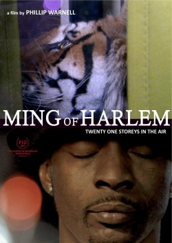 Ming of Harlem: Twenty One Storeys in the Air Ming of Harlem: Twenty One Storeys in the Air
