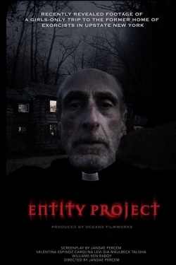 Entity Project Entity Project