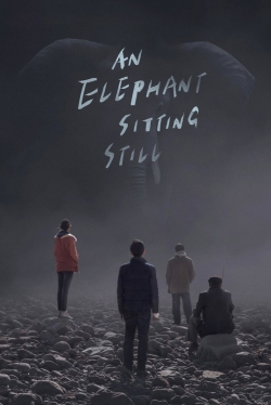 An Elephant Sitting Still An Elephant Sitting Still