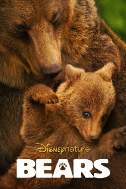 Bears Bears