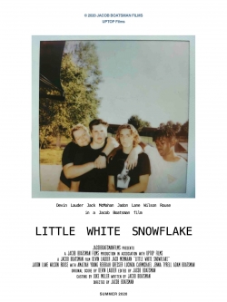 Little White Snowflake Little White Snowflake