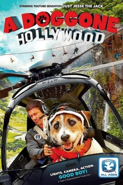A Doggone Hollywood A Doggone Hollywood