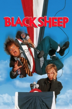 Black Sheep Black Sheep