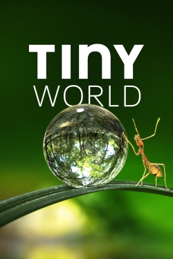 Tiny World Tiny World
