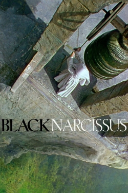 Black Narcissus Black Narcissus