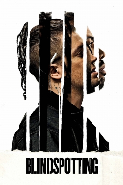 Blindspotting Blindspotting
