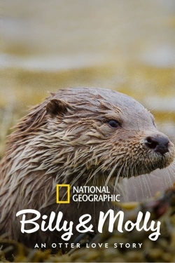 Billy & Molly: An Otter Love Story Billy & Molly: An Otter Love Story