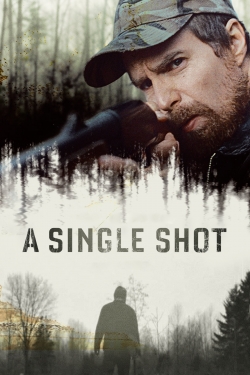 A Single Shot A Single Shot