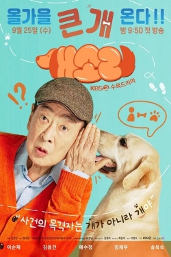Dog Knows Everything Dog Knows Everything