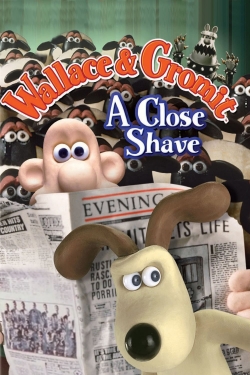 A Close Shave A Close Shave