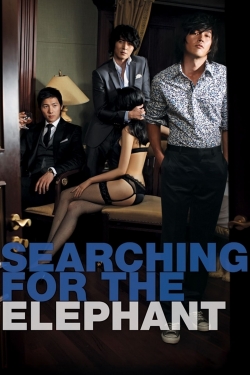Searching for the Elephant Searching for the Elephant
