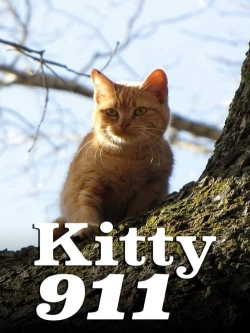 Kitty 911 Kitty 911