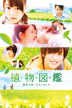 Evergreen Love Evergreen Love