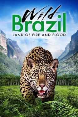 Wild Brazil Wild Brazil