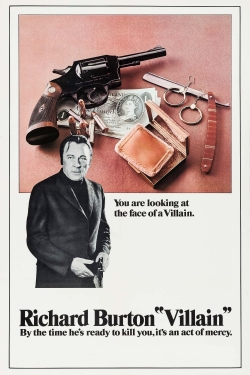 Villain Villain
