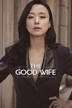 The Good Wife The Good Wife