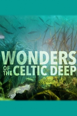 Wonders of the Celtic Deep Wonders of the Celtic Deep