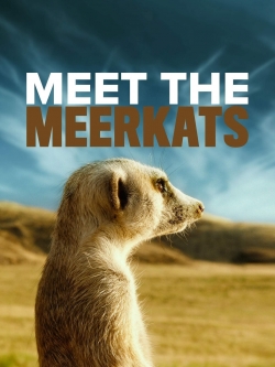 Meet The Meerkats Meet The Meerkats