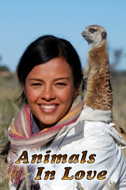 Animals in Love Animals in Love