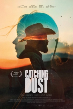 Catching Dust Catching Dust