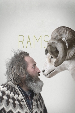 Rams Rams
