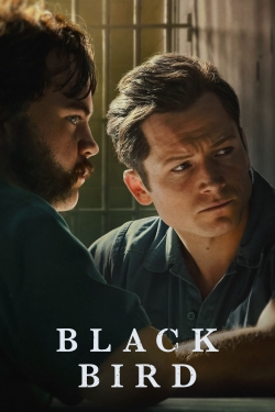 Black Bird Black Bird