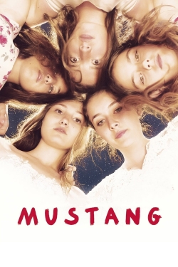 Mustang Mustang
